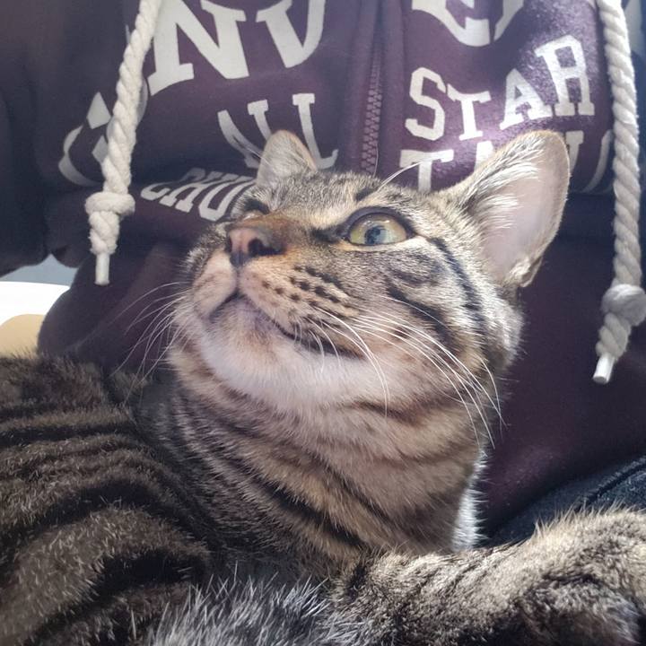 1155d292 e552 4698 ae56 46b6bce0fa69 1547544788745