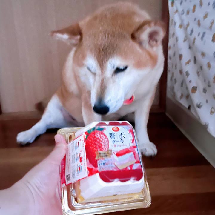 1155e067 8294 4fd4 813b 66aa22538932 1722319651223