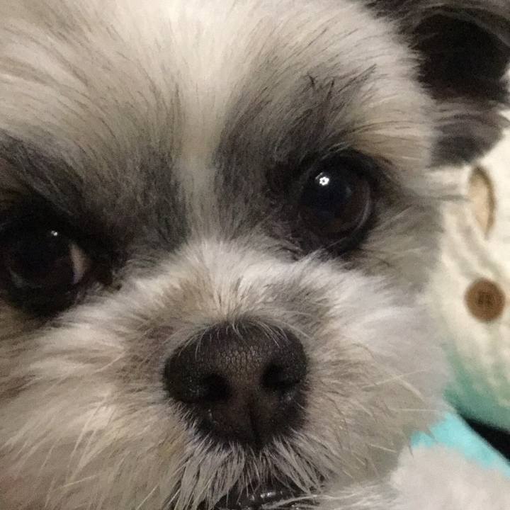 1155ef30 bdb4 4549 bddc fce4d78fa118 1514510602367