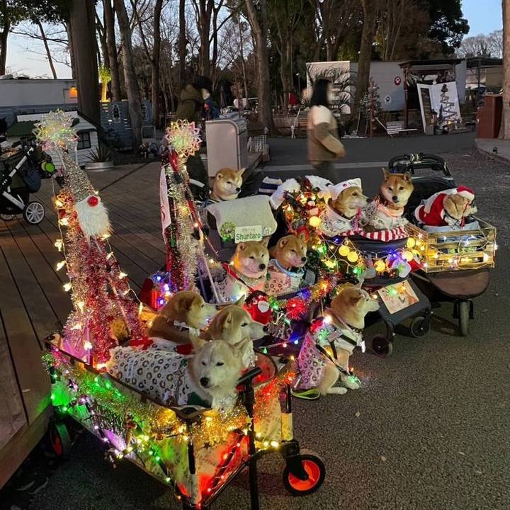 1155f3c5 0f16 4e7b 8692 8f1c20424083 1672129728895