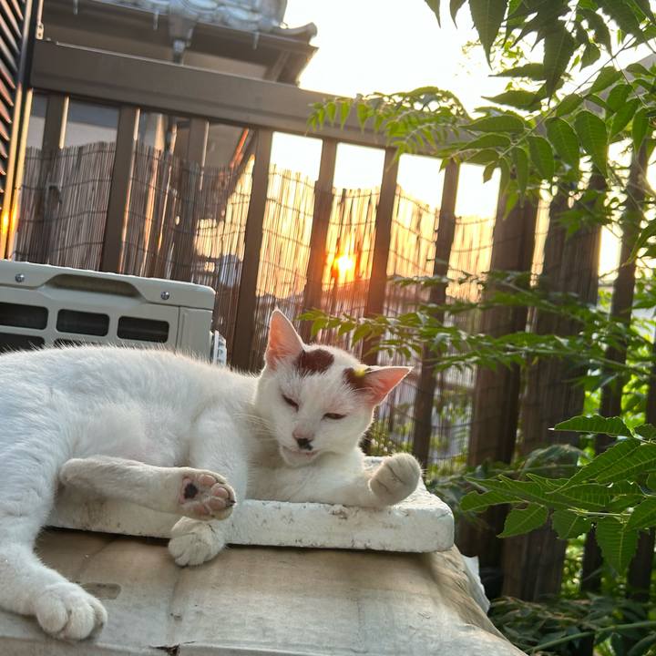 115606ec 25cf 483a abb9 7880c664b259 1722664345446