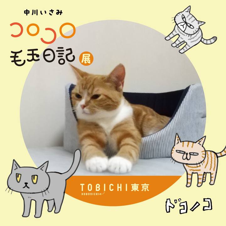 11561150 1bf9 47e3 8681 d1463ad302c8 1740195790526