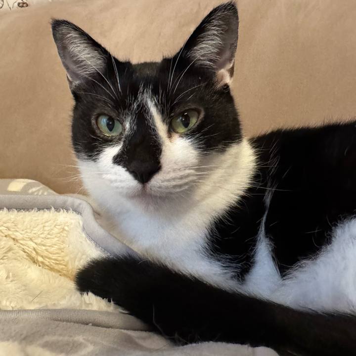 11561891 3d24 4cba bc1f 018dc09f7da6 1760317806452