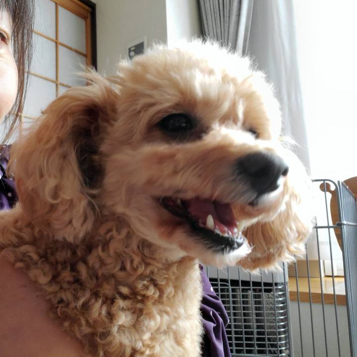 11562210 901d 419c 9c94 70a54226d18c 1699894421370