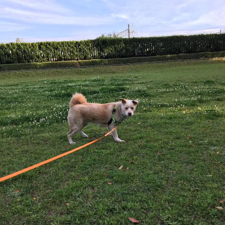 115644ab d052 4d75 b060 8b9820aba5bf 1523785458824