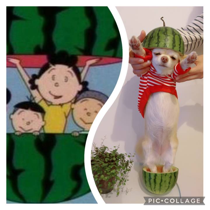 115669eb 1d85 4f57 9ae9 4a2fb8bf3771 1699105872634