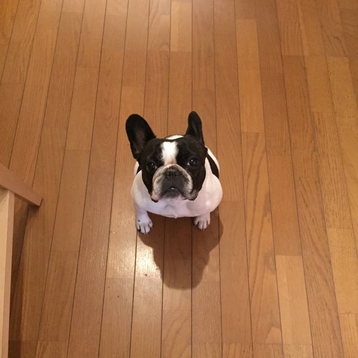 115692d4 27a5 420f b263 86f55b8e4156 1540856852292