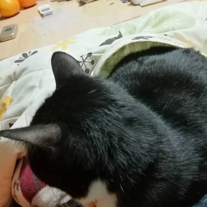 1156ff48 4e5b 474b 9adb 1f2215d5c169 1580264571448