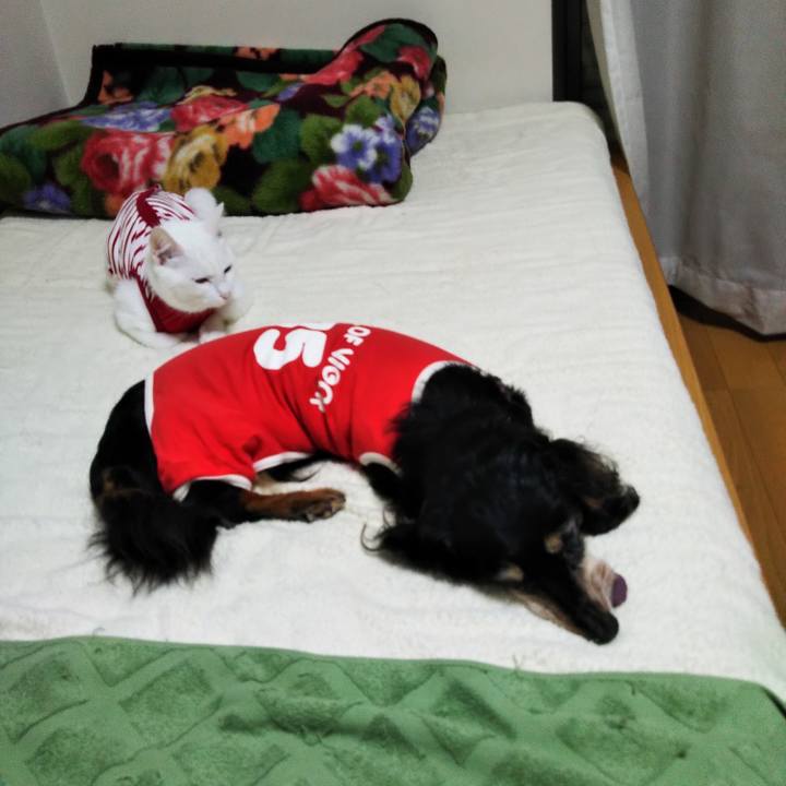 1156ff8f 54a9 4643 bda1 ffeac4802f36 1633240872108