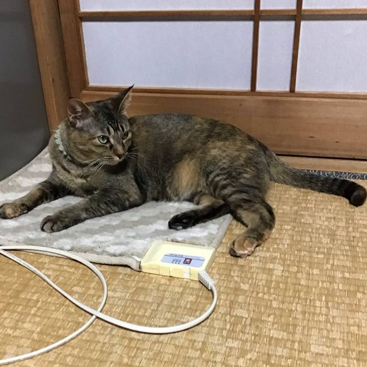 1156ffd7 a0ea 4f13 bd0d 193bee97cead 1645094703859