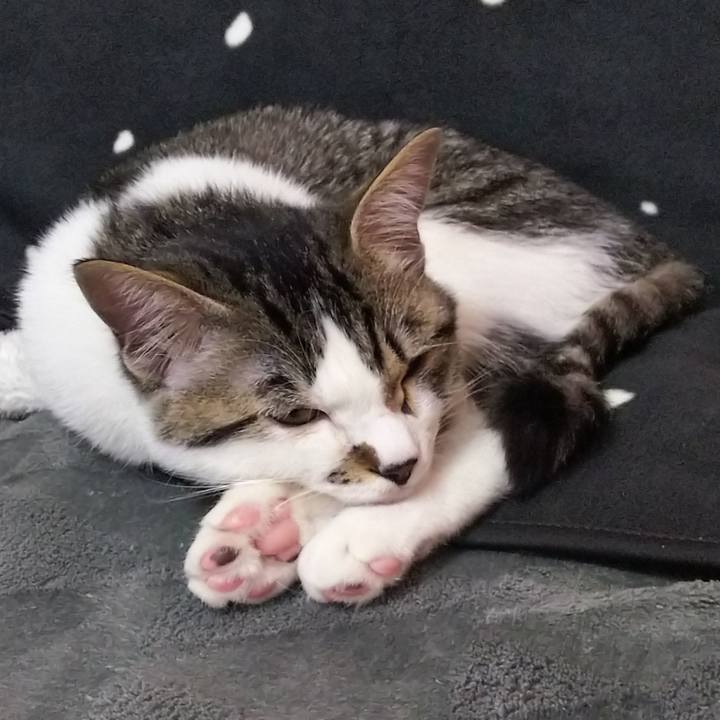 11570f7f f63d 4fd2 ad81 368be6f10d23 1612649726380