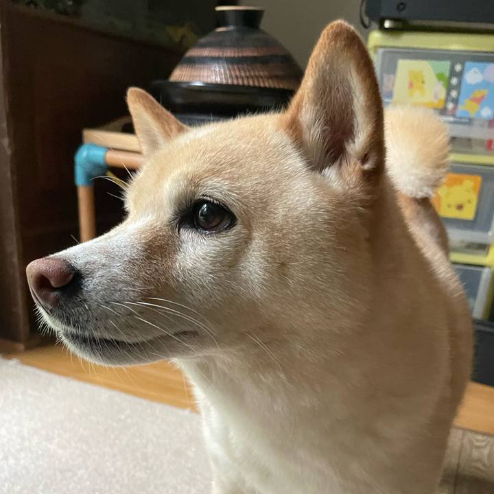 115735f3 f183 4985 80ff 6598c8662c94 1719787134871