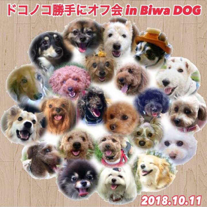 1157cf74 be86 4a13 85a2 11cf9aca0162 1536980796972