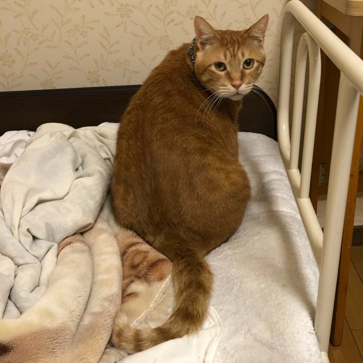 1157e45b b9ef 4c6e 9ae9 83322e1299b9 1576239859673