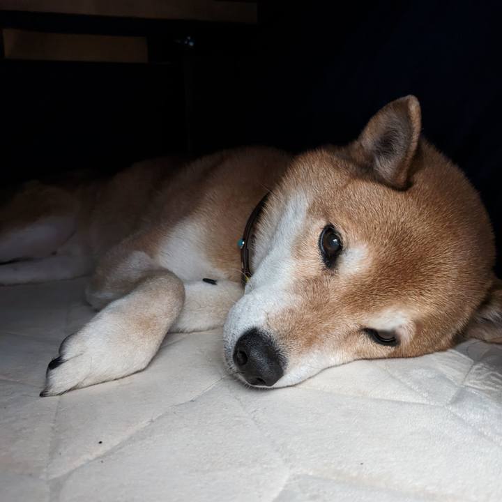 11583500 ccb3 4834 8364 44224732e492 1705657473864