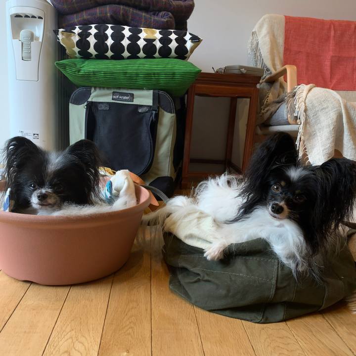 11587866 cbf6 4d52 a4f9 e7dd805f504d 1594422947797