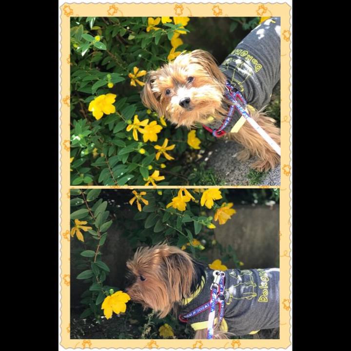 11588345 dabd 4a8d ab27 e430d357bfe6 1526783095277