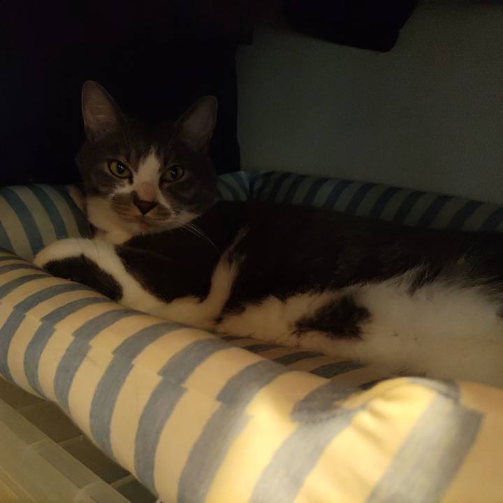 1158986f 5e72 4632 b57c 6a27e4c18e89 1653357371946