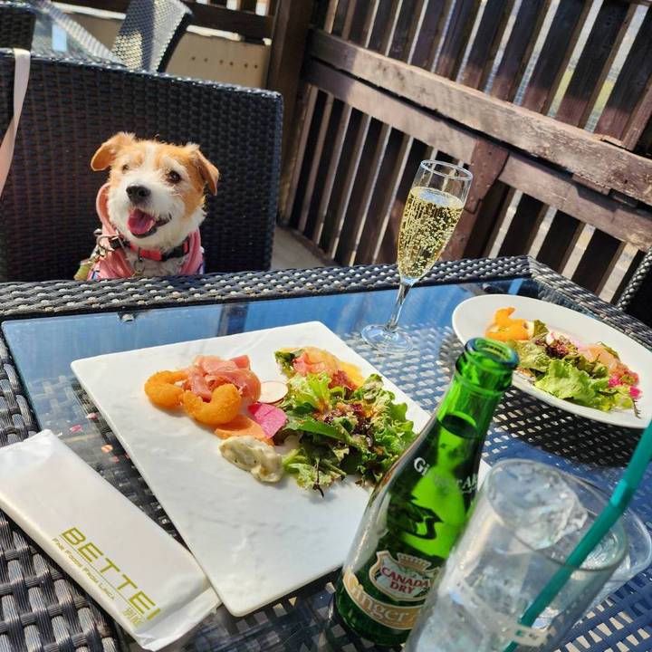 1158aafb bb5a 4c0f 91c6 f82608bb4f8e 1740459125931