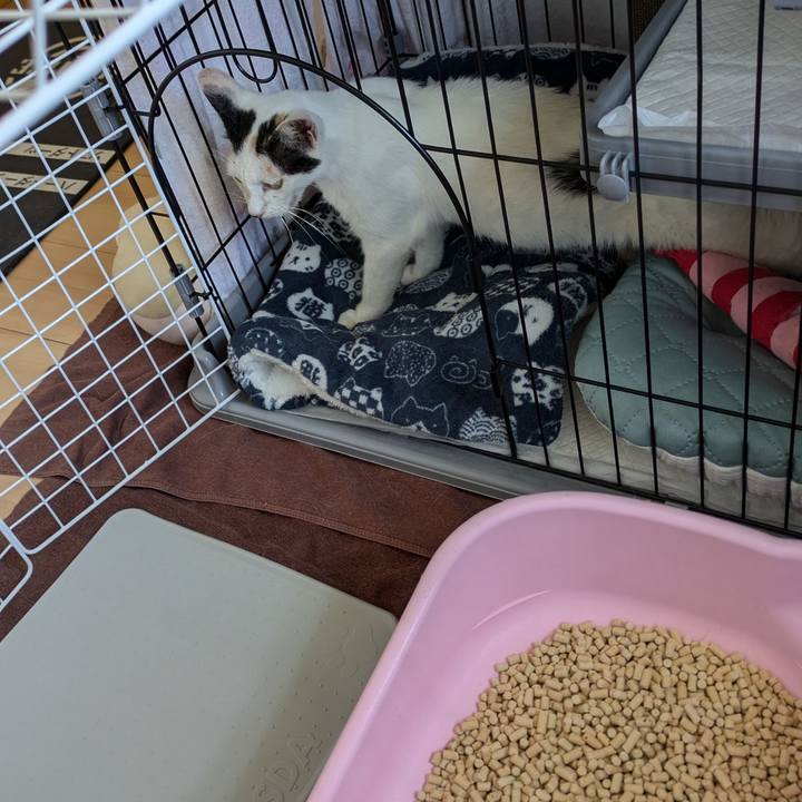 11594366 c380 4872 a722 3e2e4d2eb736 1719041261610