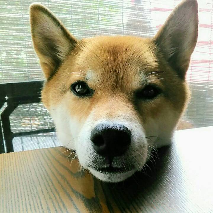 11595d18 6c46 419b 9050 057a3b97cecb 1568174190755