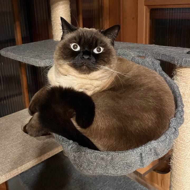 115963d0 6a14 4df5 a6fa c8731880e6c4 1648093832655