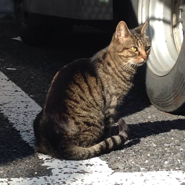 11596a6d 5799 4066 91ea 60cea4ddc9ba 1510464534771