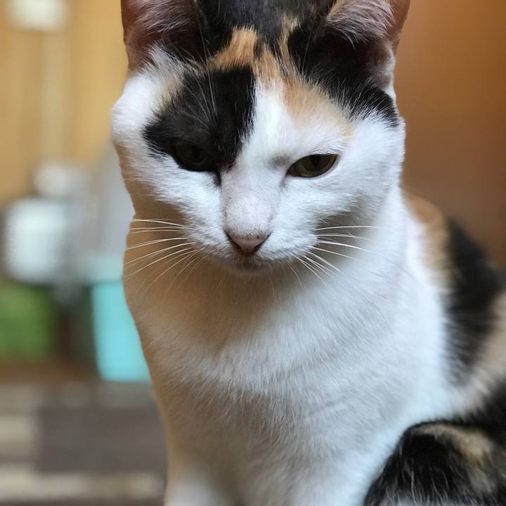 11596d0b 41e5 48a8 8289 563471edd384 1510017240093