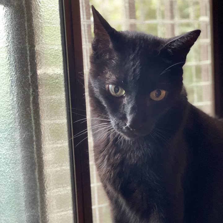 11599cce 0021 450c a0ea 74cfc63cec2c 1633054296939