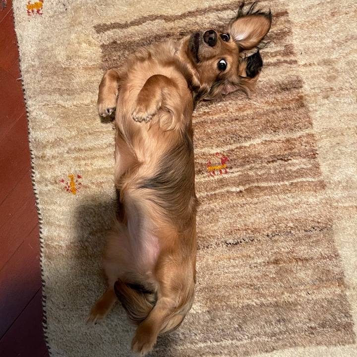 1159c771 dcf0 4d5f a974 5d294e5767b6 1622896539464