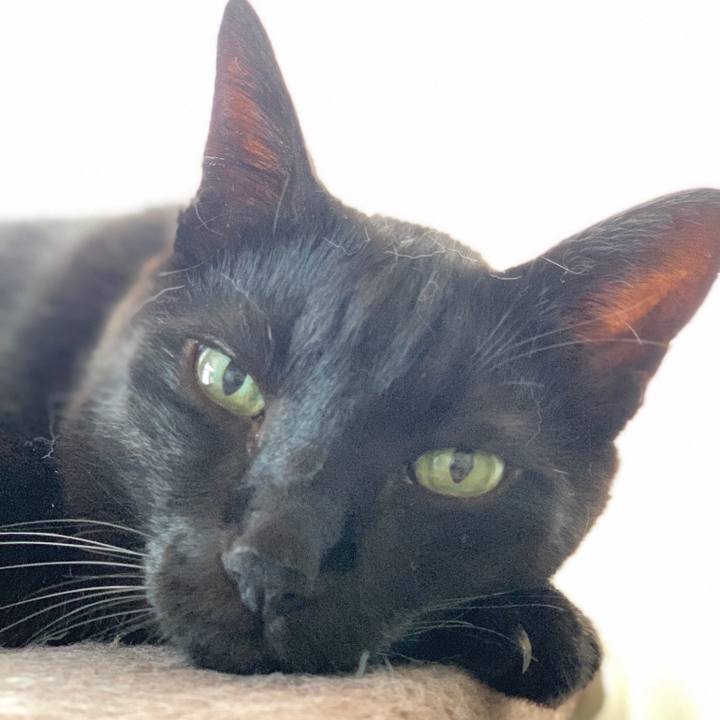 115a133d f448 4242 8d1b e0ab90a41314 1565397459465