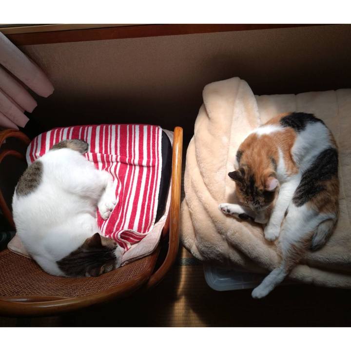 115a6c16 35a7 4016 a0ea b192ba142ea0 1748317353051