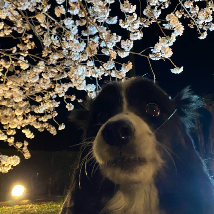 115a7aed 5885 4805 ac66 9620fdb0b60d 1616762012236