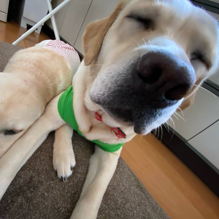 115aa091 77dc 4aea 95c5 0ed9b339797c 1618889523407