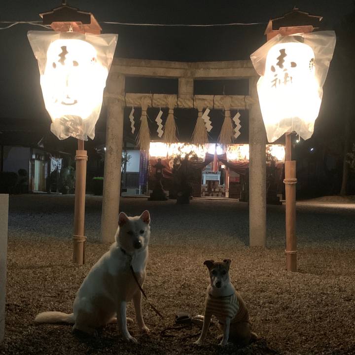 115aa439 db22 4ba1 86c1 9f13e122e2aa 1546335492397