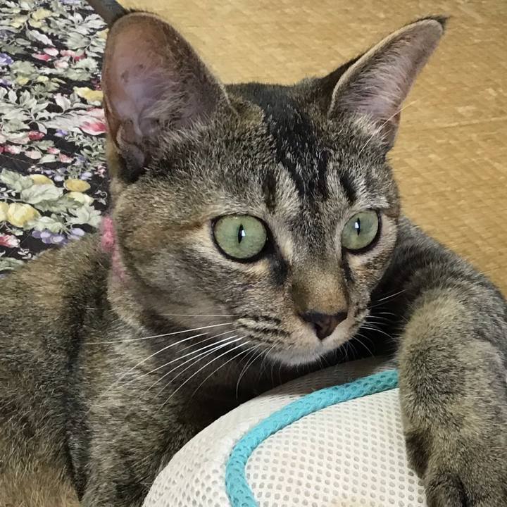 115ab566 35ef 4778 9deb bface841591e 1594706551965