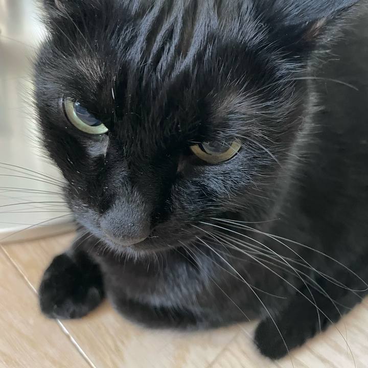 115af86c bec8 4b7c 89e9 cc62c398c12b 1704502131239