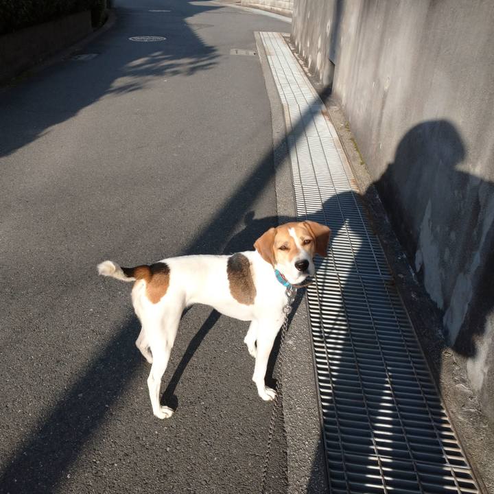 115b3ed2 683f 457e ac7a 47f159962dbf 1604069014469