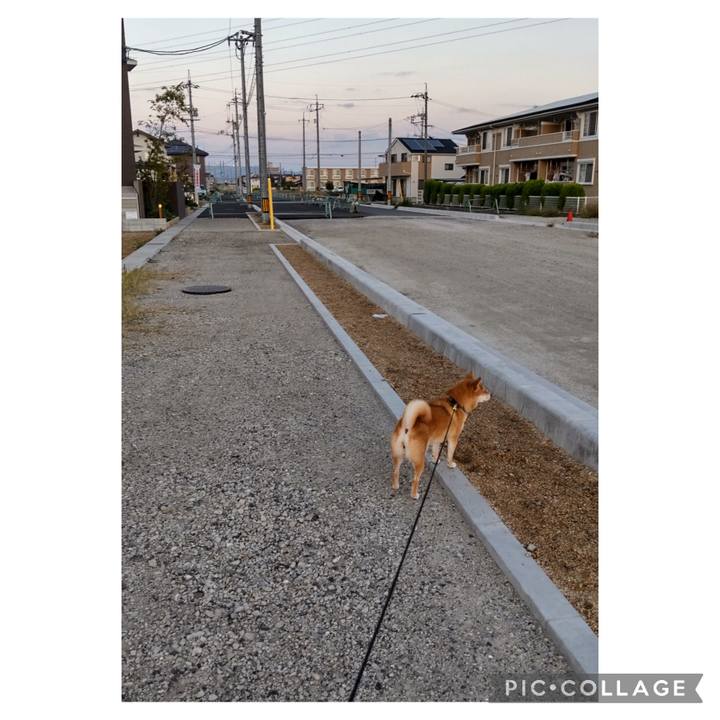 115b6620 af2a 469d 816b 9f77366f5c5d 1697496509337