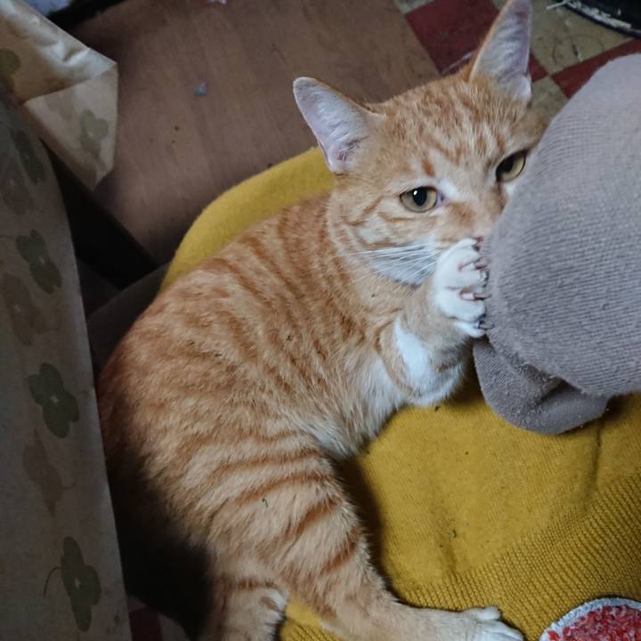 115c2cce c748 4912 895f 4a3eb305ac08 1571440638580