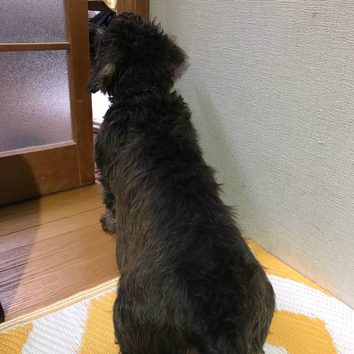 115c579f 275f 41b9 b077 45d92d675837 1508429608221