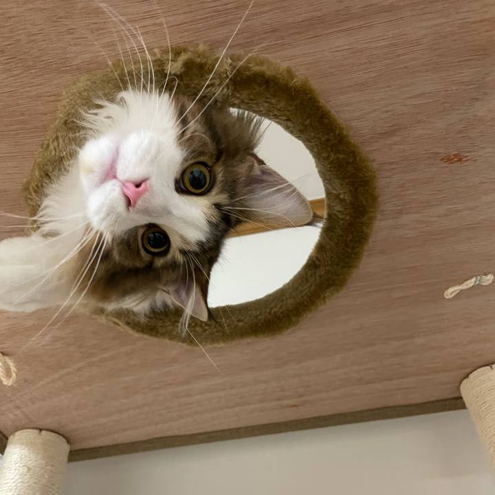 115c64e2 6961 4e97 905c 5a1c0919f591 1638217969737