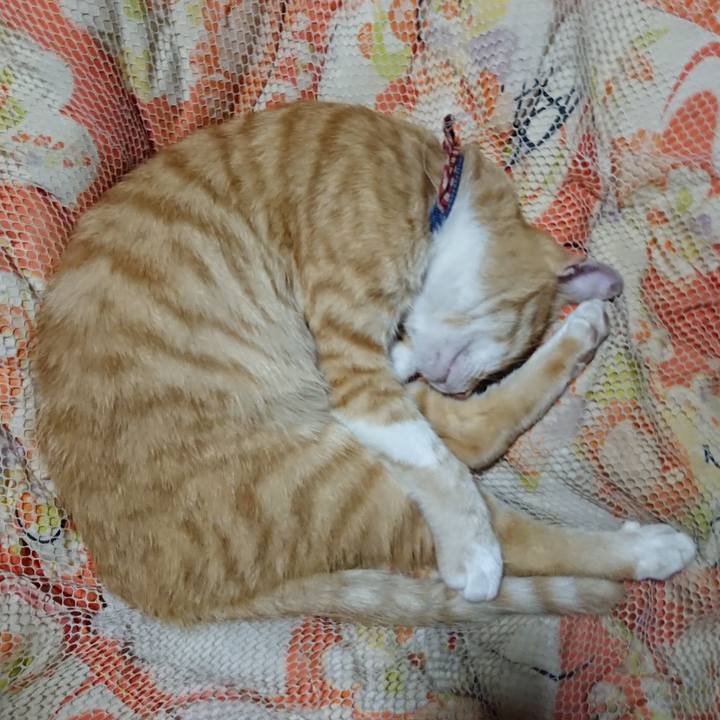 115c81a2 79bc 4c80 a1a8 fb1940caf51d 1561730334674