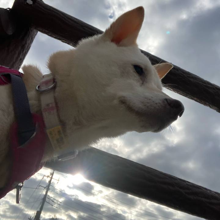 115c8460 b2c4 4cea b5b2 bf9275d19f38 1700972864732