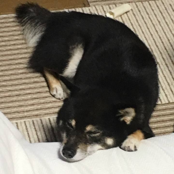 115c88c1 21db 4c8a 933b 16b8e959238f 1508809085714