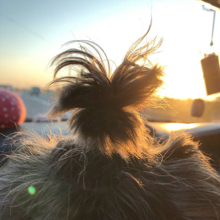 115c947a 0681 4f7b b093 7b9e1ea2e180 1568366992750