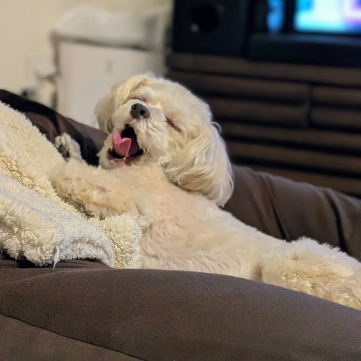 115cab1f f2de 498a 9f49 4b6dd6e41910 1763384831393