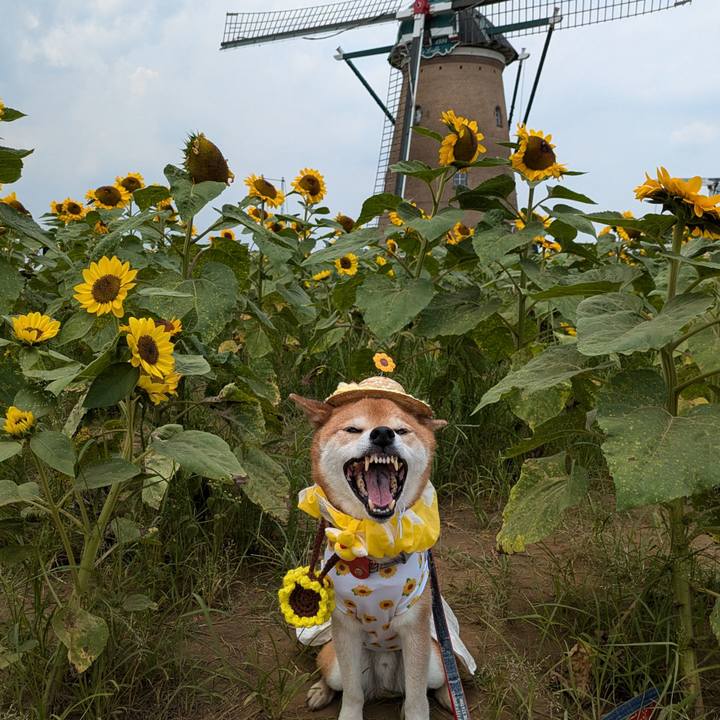 115cc46f d8f0 4ed2 a8f4 8e005d05f6f1 1720602932954