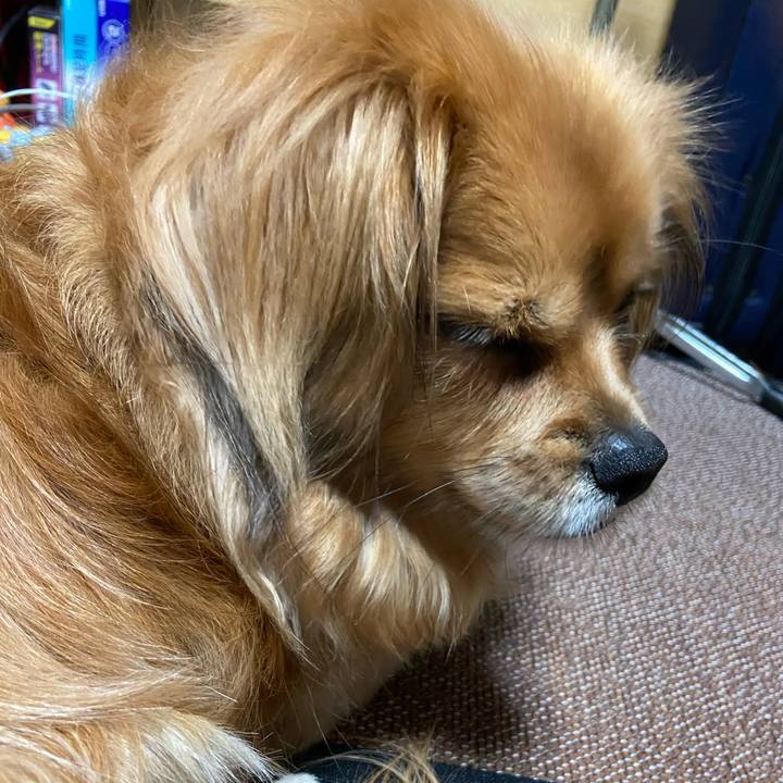 115ccdf1 a447 4d90 954e f6a219d51fec 1616968698469