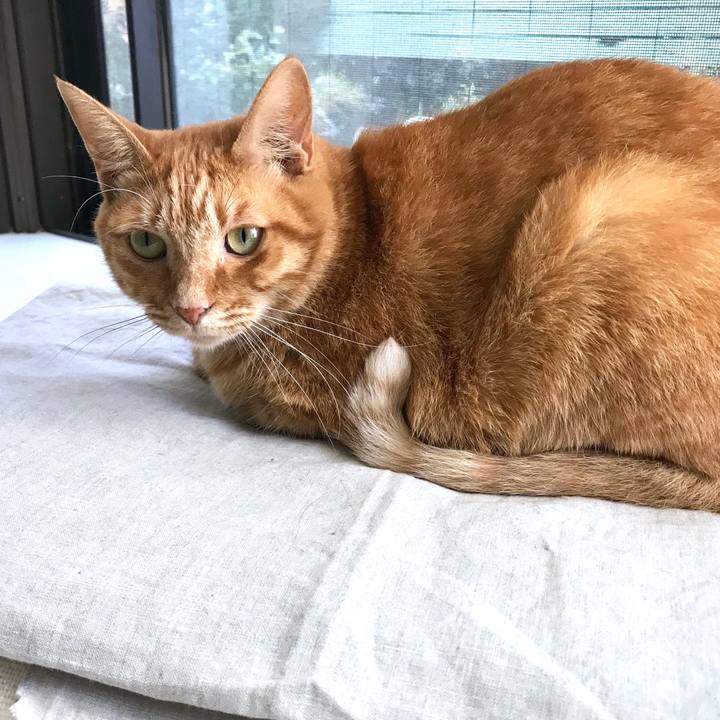 115d12b5 a8f9 408e ae81 9533fe9fb3b6 1540780805617